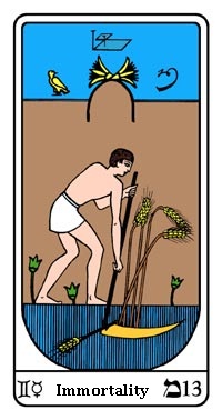 carti tarot 13